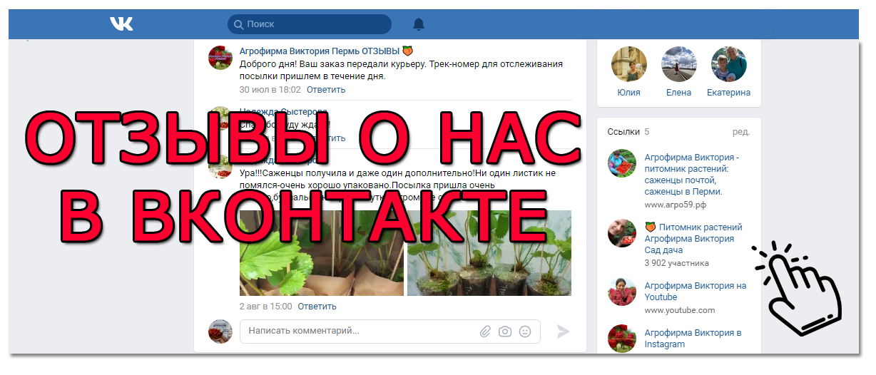 Саженцы Отзывы Магазин